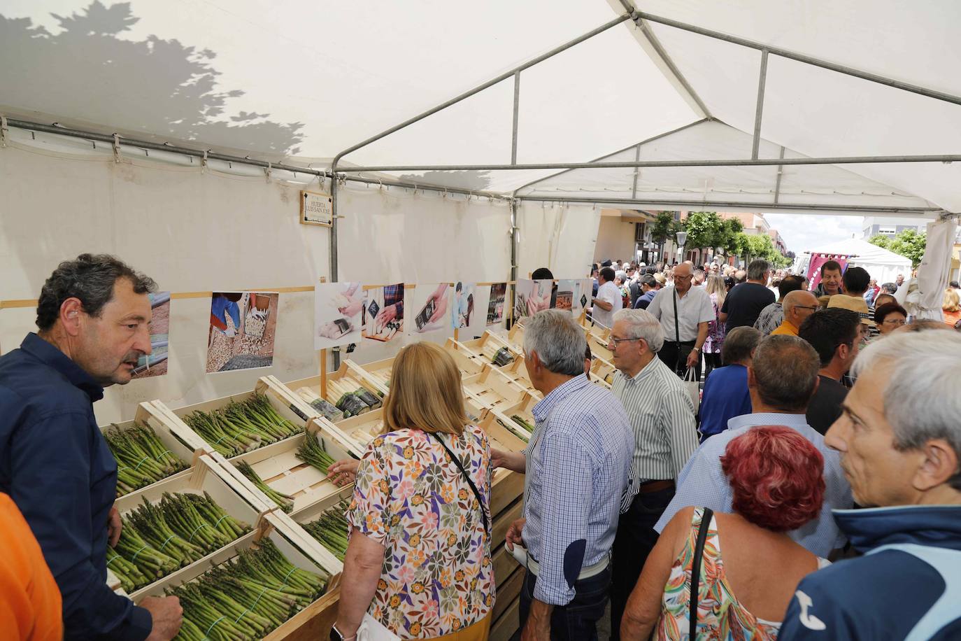 La Feria del Espárrago de Tudela de Duero, en imágenes