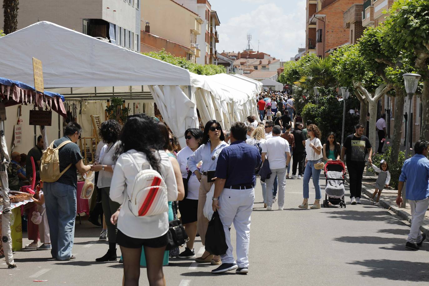 La Feria del Espárrago de Tudela de Duero, en imágenes