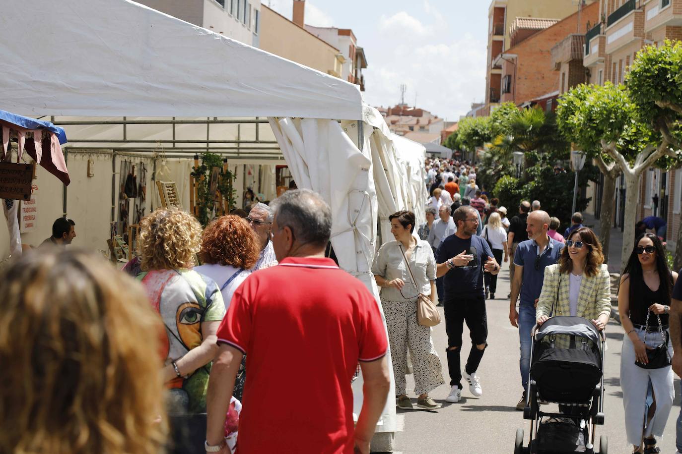 La Feria del Espárrago de Tudela de Duero, en imágenes