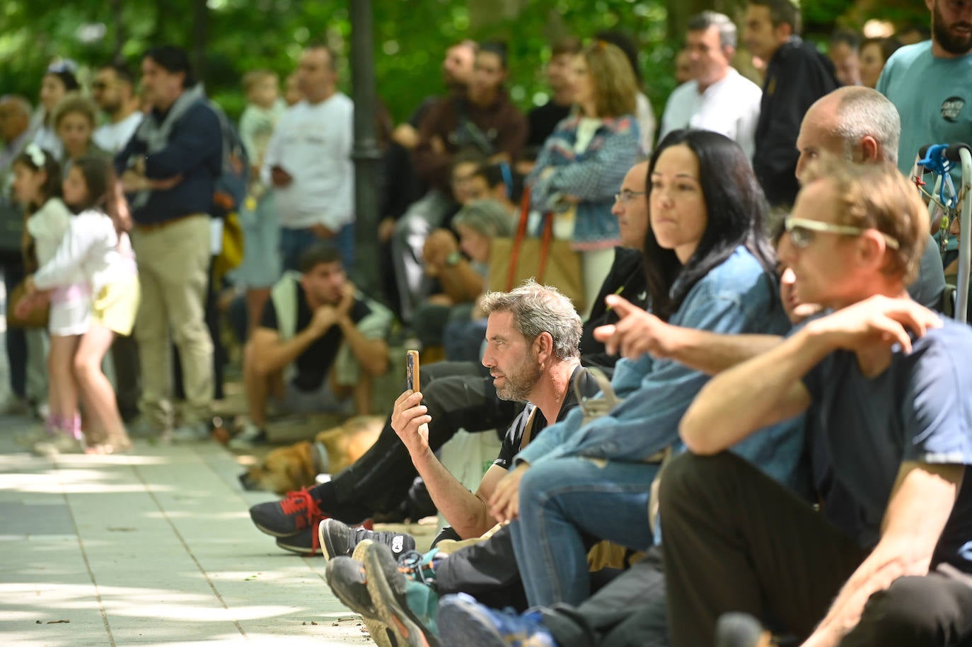 XX Campeonato de España de Trepa de Árboles en el Campo Grande de Valladolid