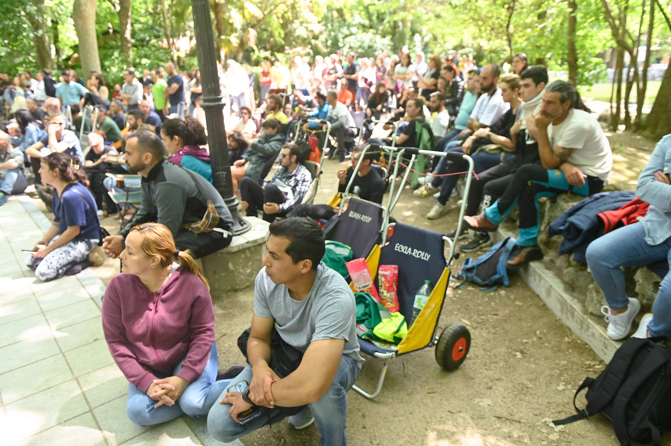 XX Campeonato de España de Trepa de Árboles en el Campo Grande de Valladolid