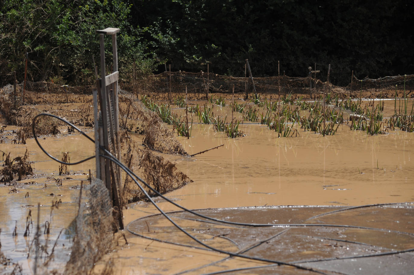 Las imágenes de la inundación en Alaejos