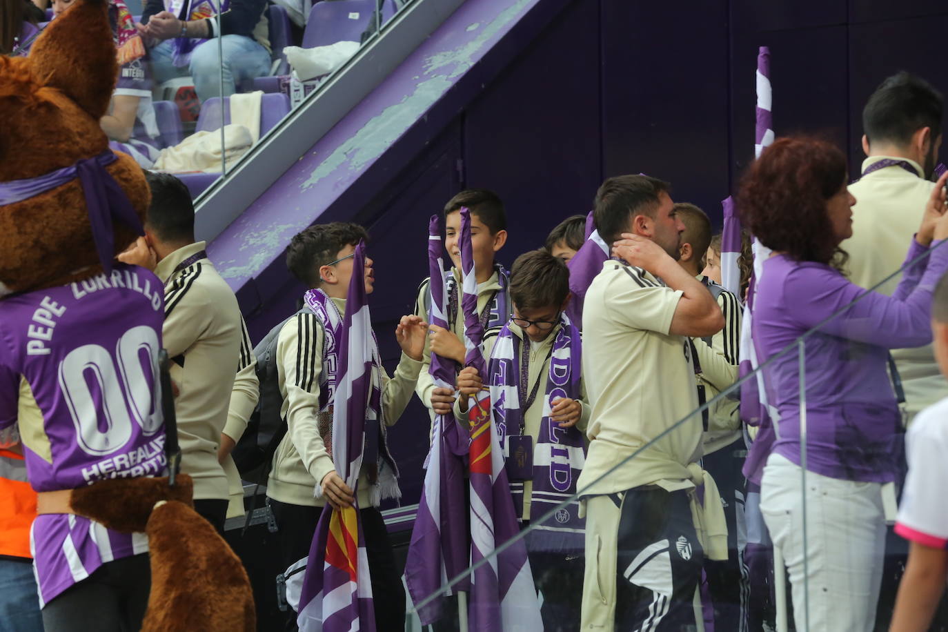 Búscate en la grada del José Zorrilla (4/4)