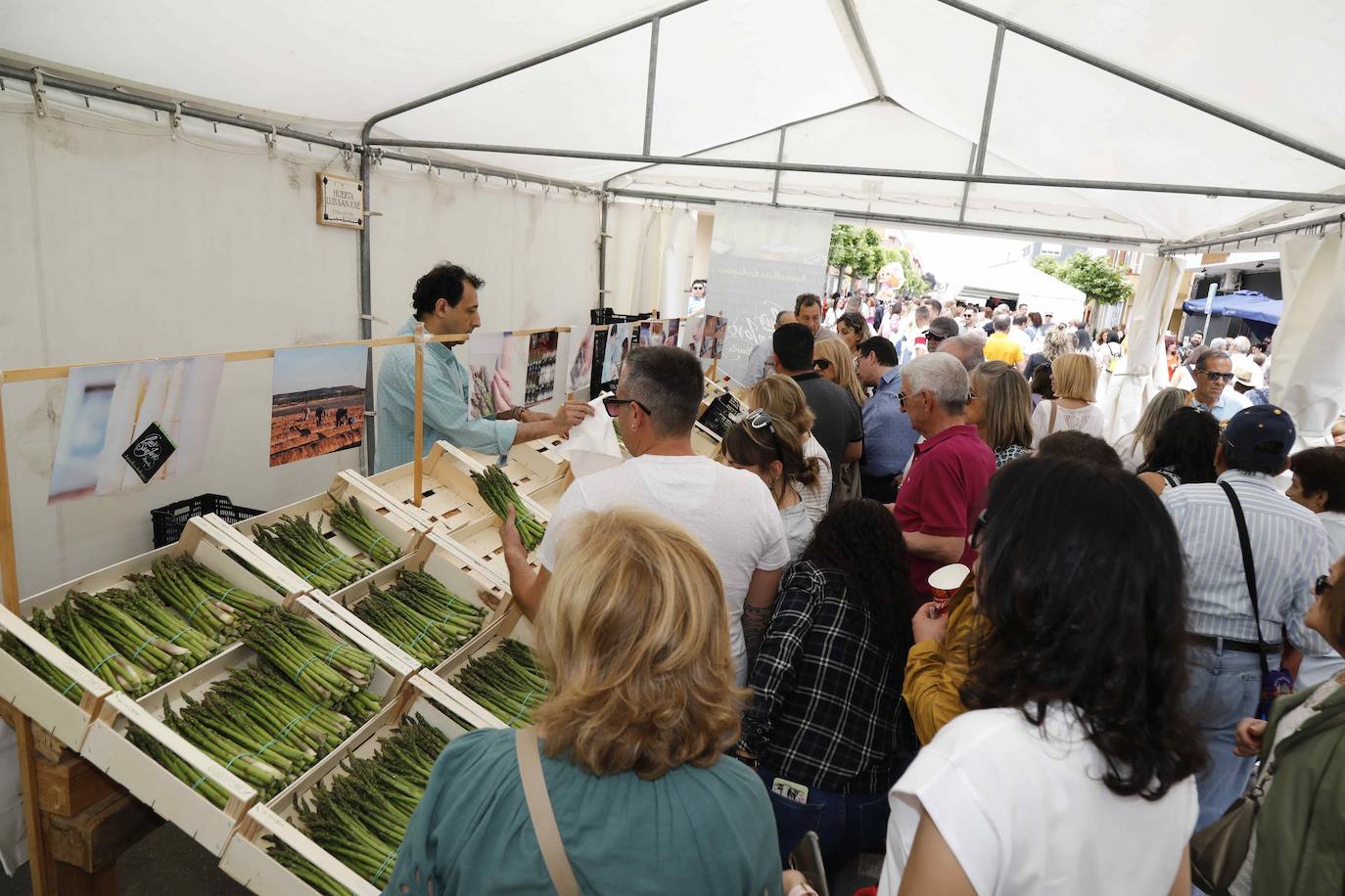 La segunda jornada de la Feria del Espárrago de Tudela, en imágenes