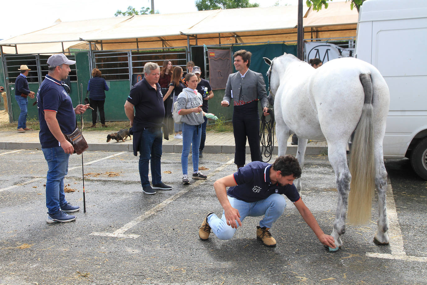 Concurso de caballos en Trescasas