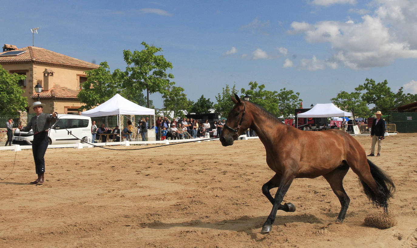 Concurso de caballos en Trescasas