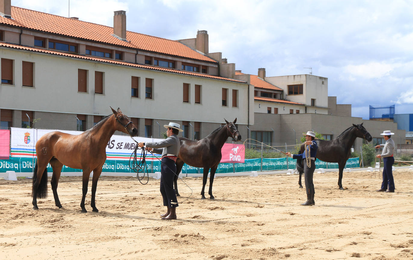 Concurso de caballos en Trescasas