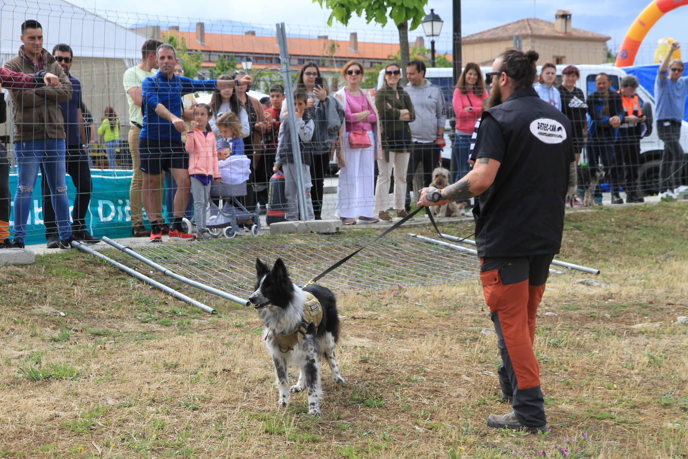 Concurso de caballos en Trescasas