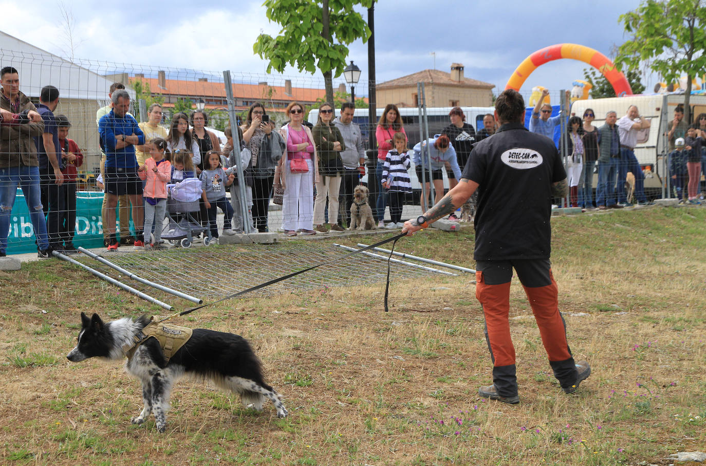 Concurso de caballos en Trescasas