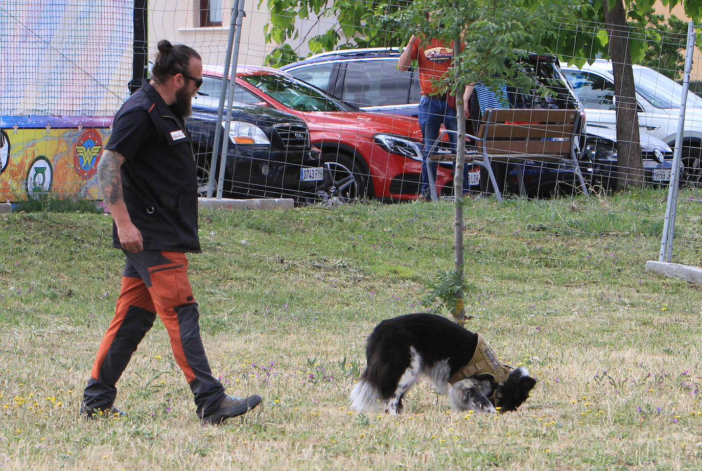 Concurso de caballos en Trescasas