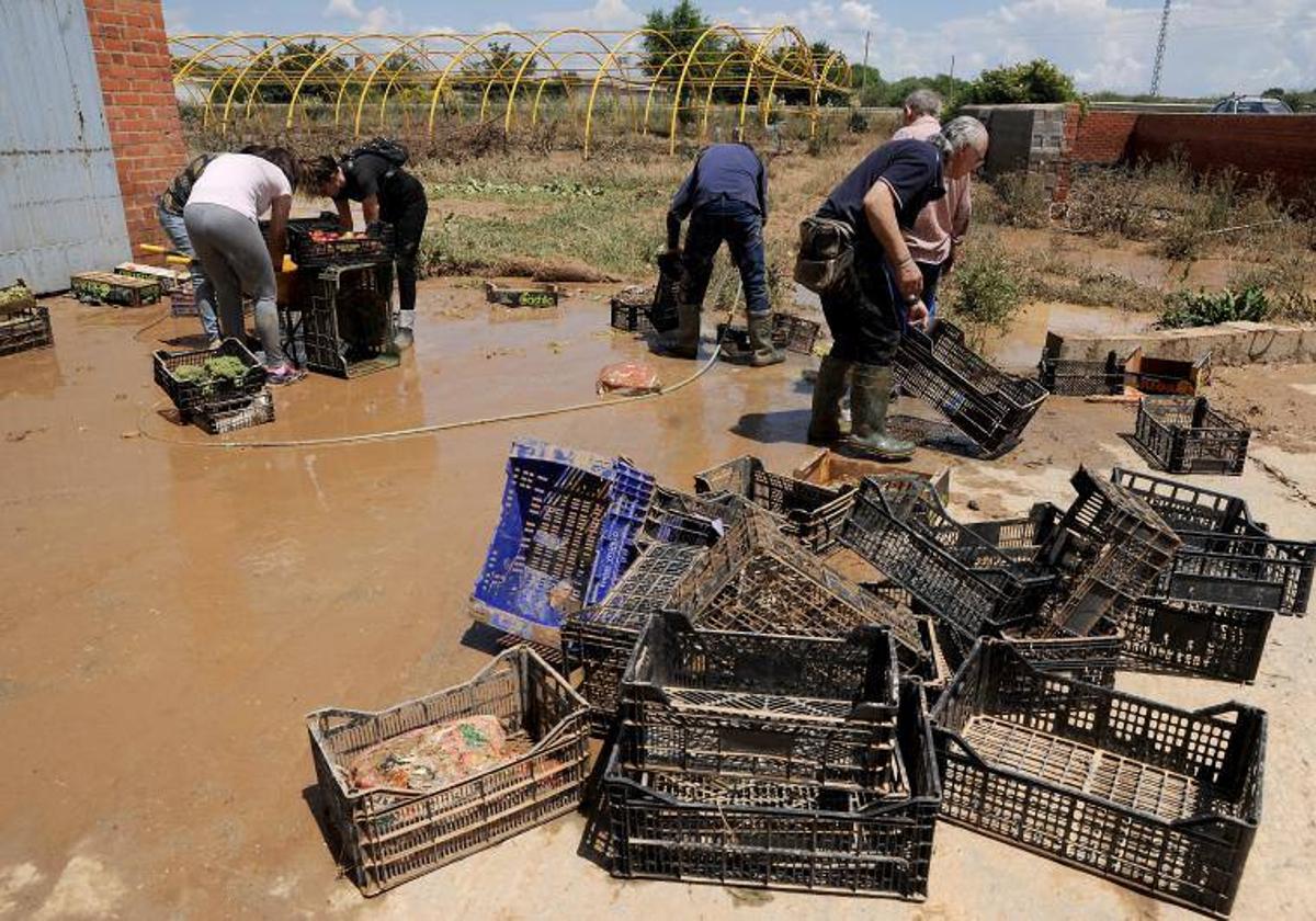 Daños en una nave agrícola tras las inundaciones en Alaejos.