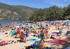 Playa Viquiella del Lago de Sanabria en agosto del año pasado.