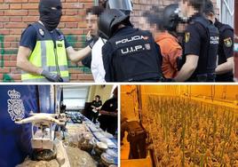 Arriba, detenciones en Pajarillos. Abajo, drogas incautadas en la operación Santo.