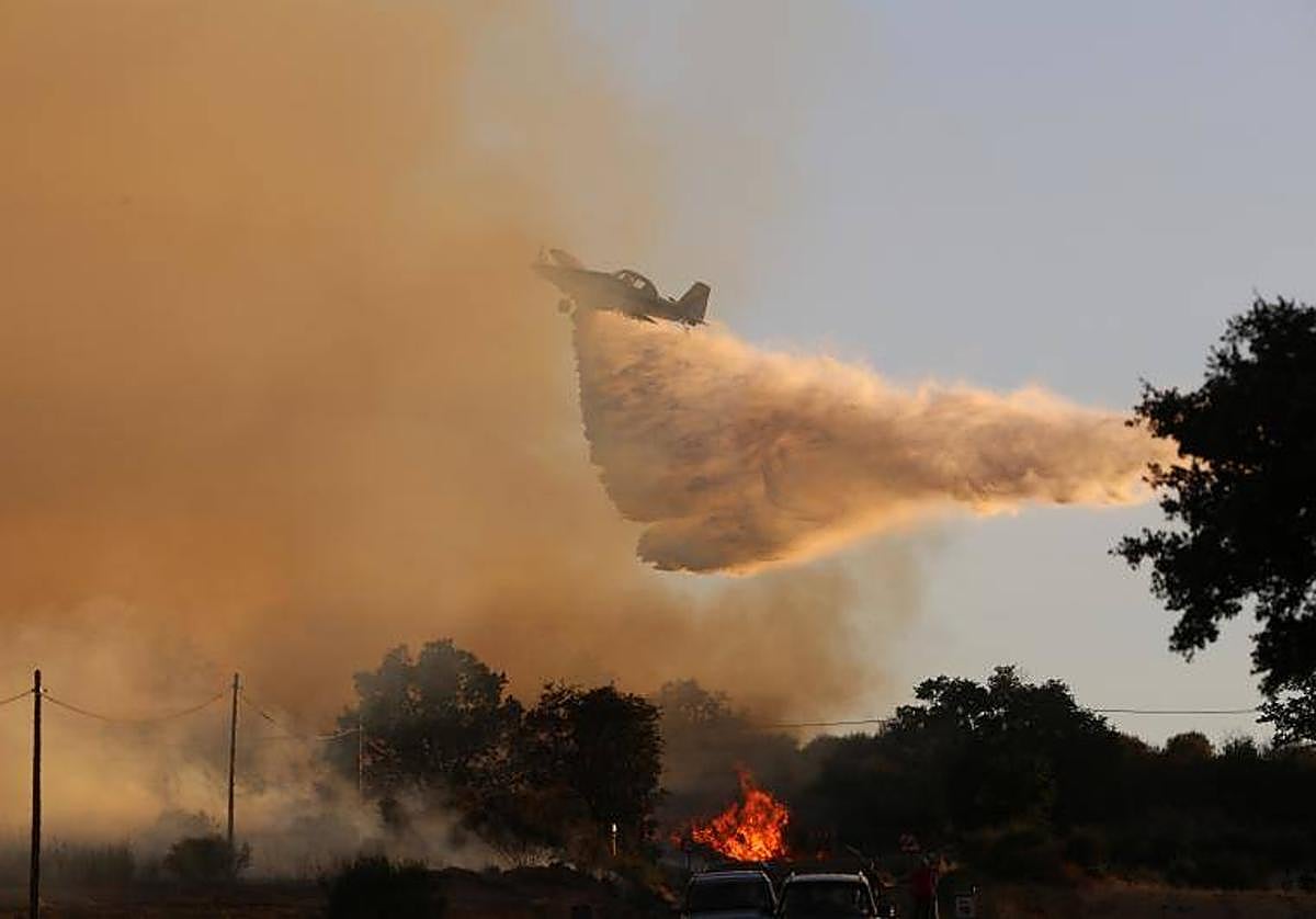 Incendio en Losacio de Alba, en la provincia de Zamora, el verano pasado.