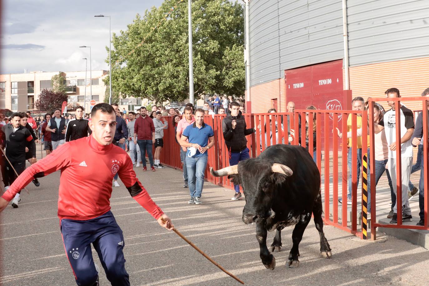 Las imágenes del primer encierro urbano en La Flecha