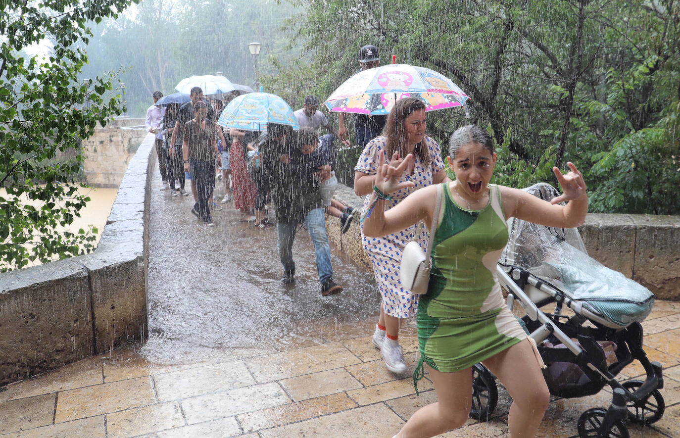 La lluvia cierra un exitoso festival musical