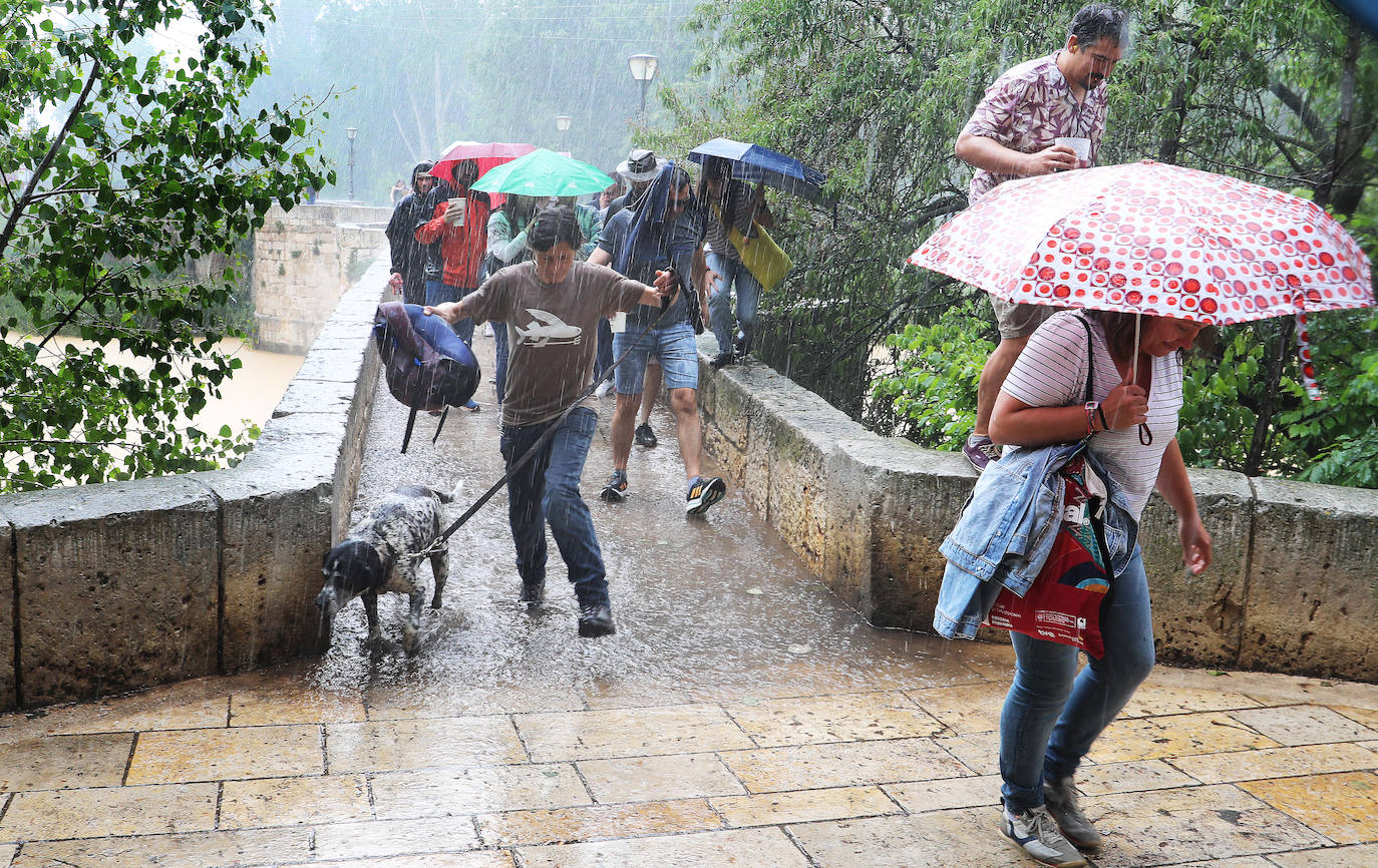 La lluvia cierra un exitoso festival musical