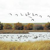 Turismo y aventura, una Palencia para perderse