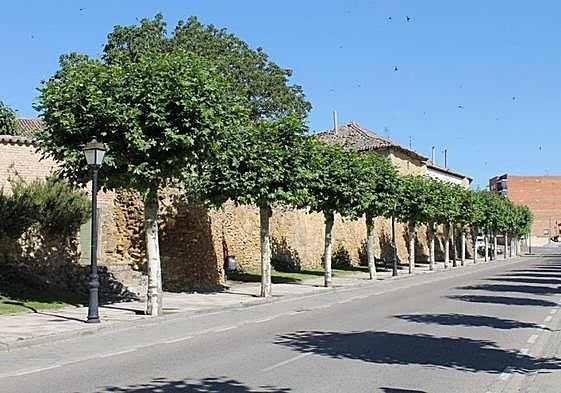 Muralla de Carrión de los Condes.
