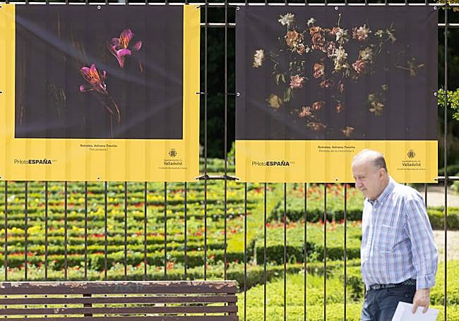 Fotografías de la mexicana Ana Treviño en la verja del Campo Grande, donde cuelga la exposición 'Retratos'.