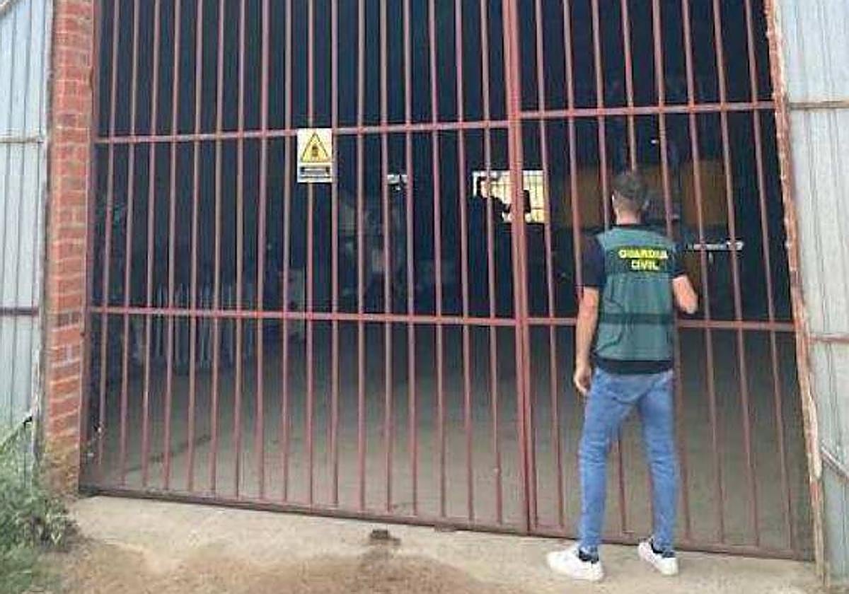 Un agente de la Guardia Civil, en una de las explotaciones.