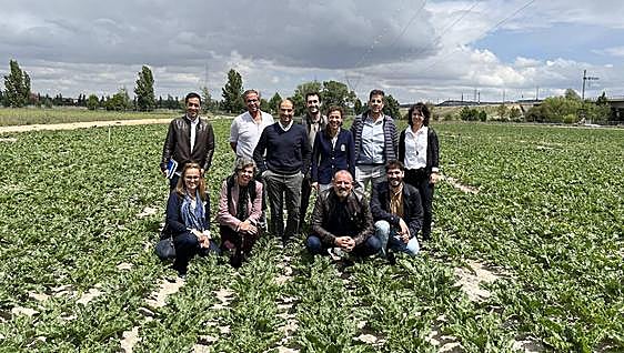 AIMCRA suma ocho agricultores a su junta para abordar necesidades de investigación en remolacha