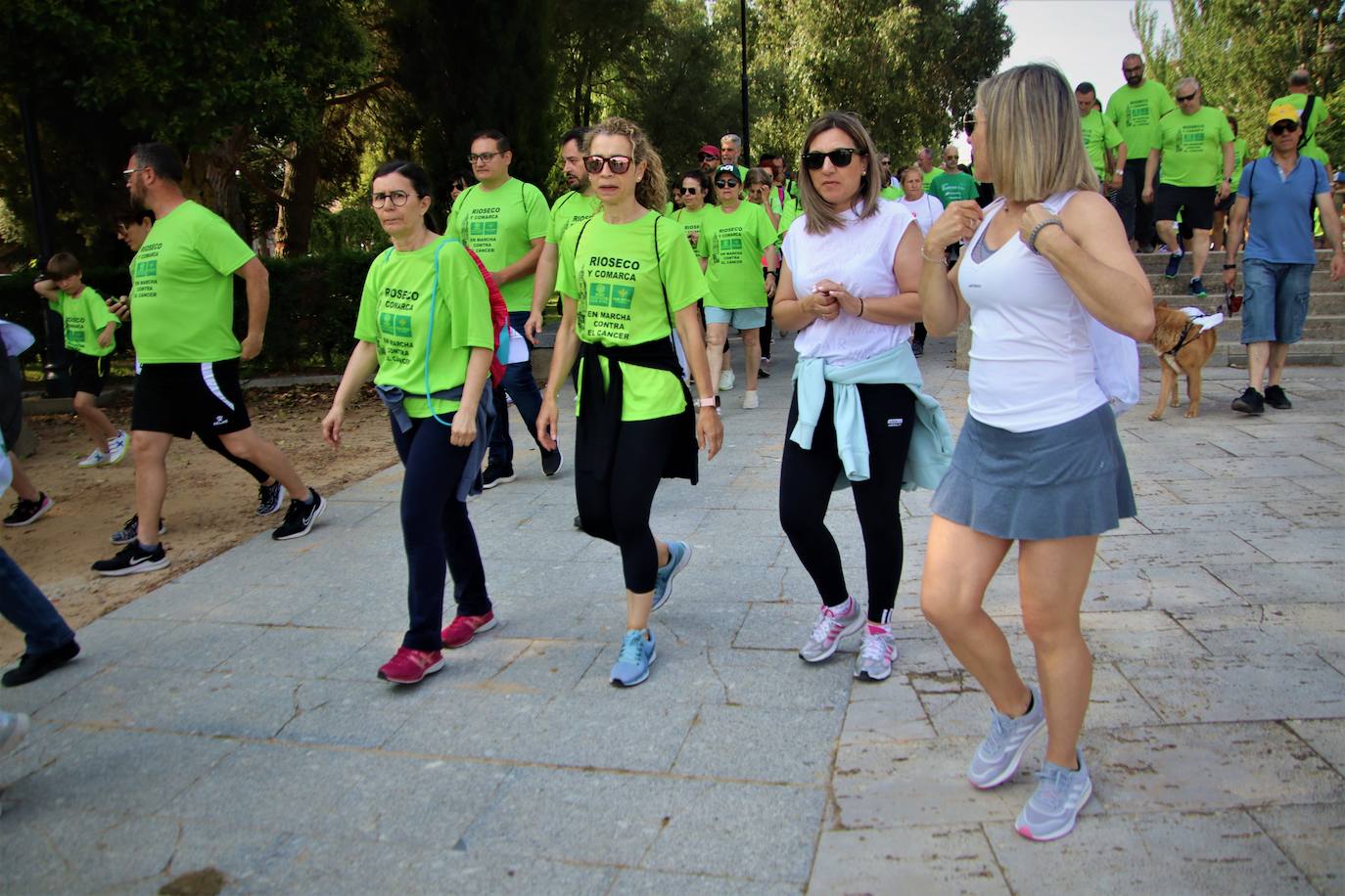 Búscate en la marcha contra el cáncer celebrada en Medina de Rioseco (2 de 2)