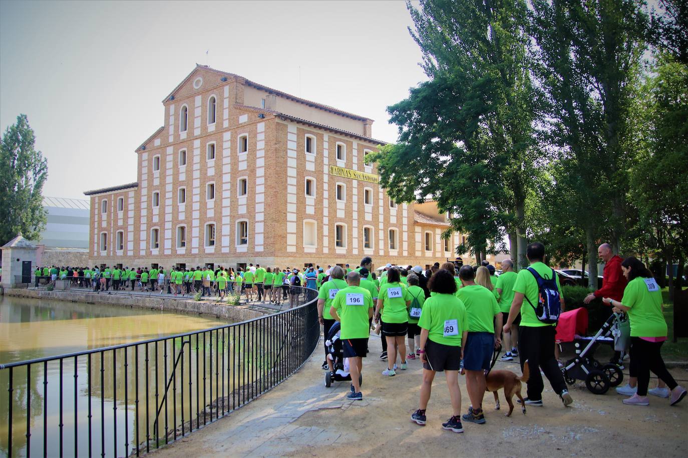 Búscate en la marcha contra el cáncer celebrada en Medina de Rioseco (2 de 2)