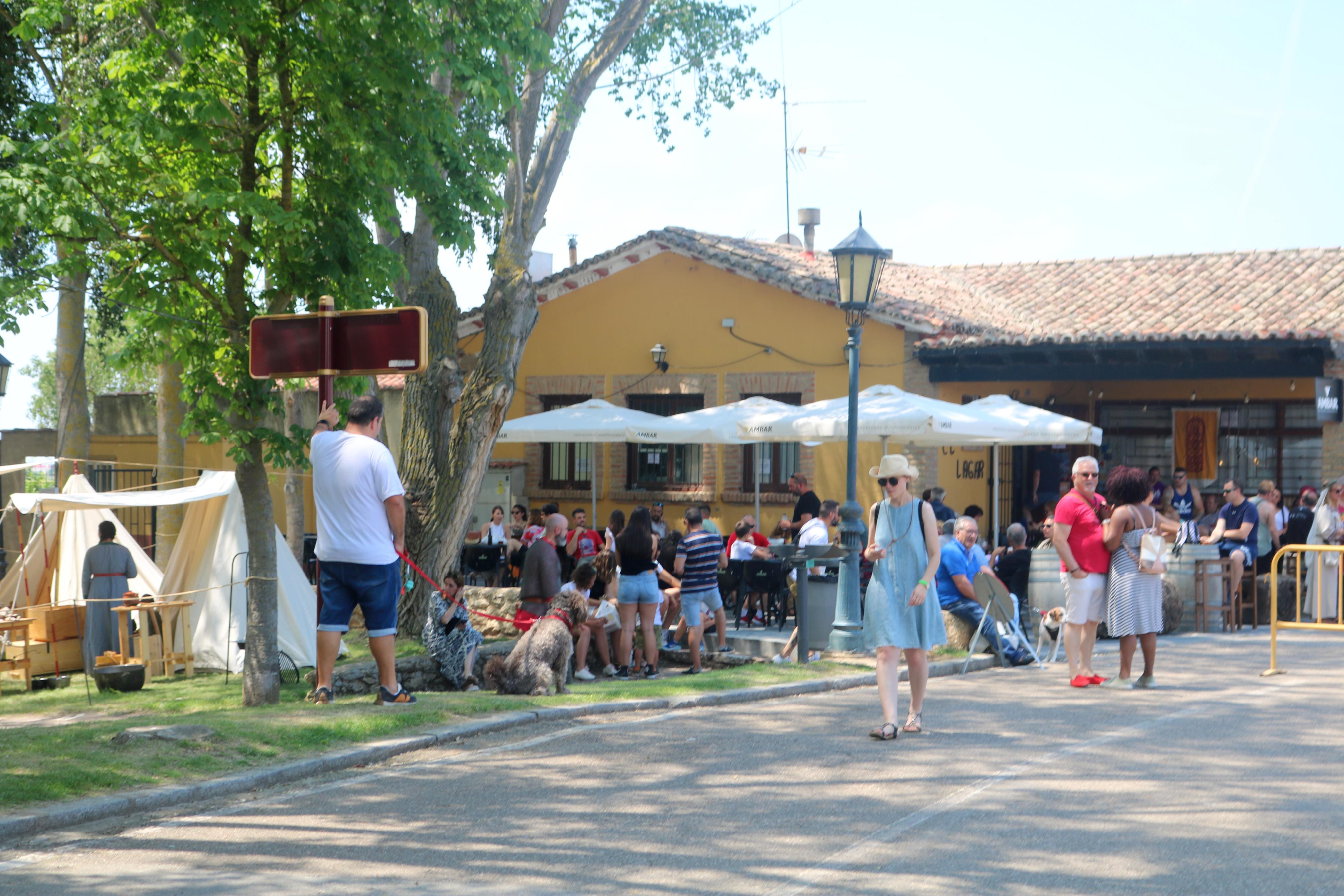 IX Feria Visigoda en Baños de Cerrato