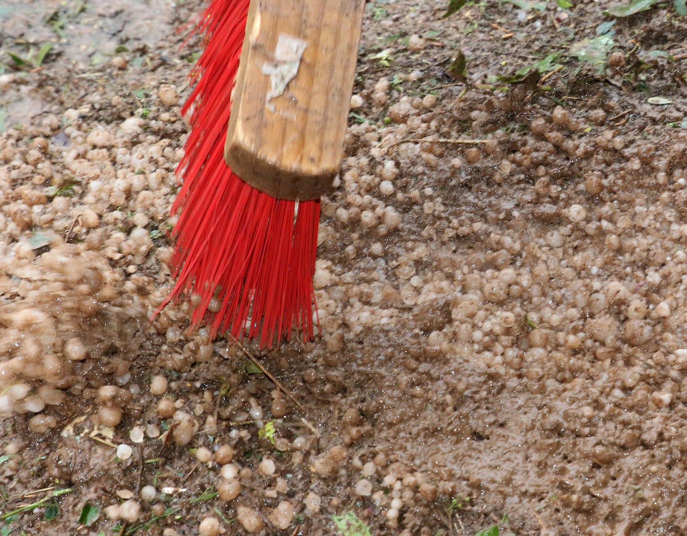 El rastro de la tormenta de granizo en Ayllón