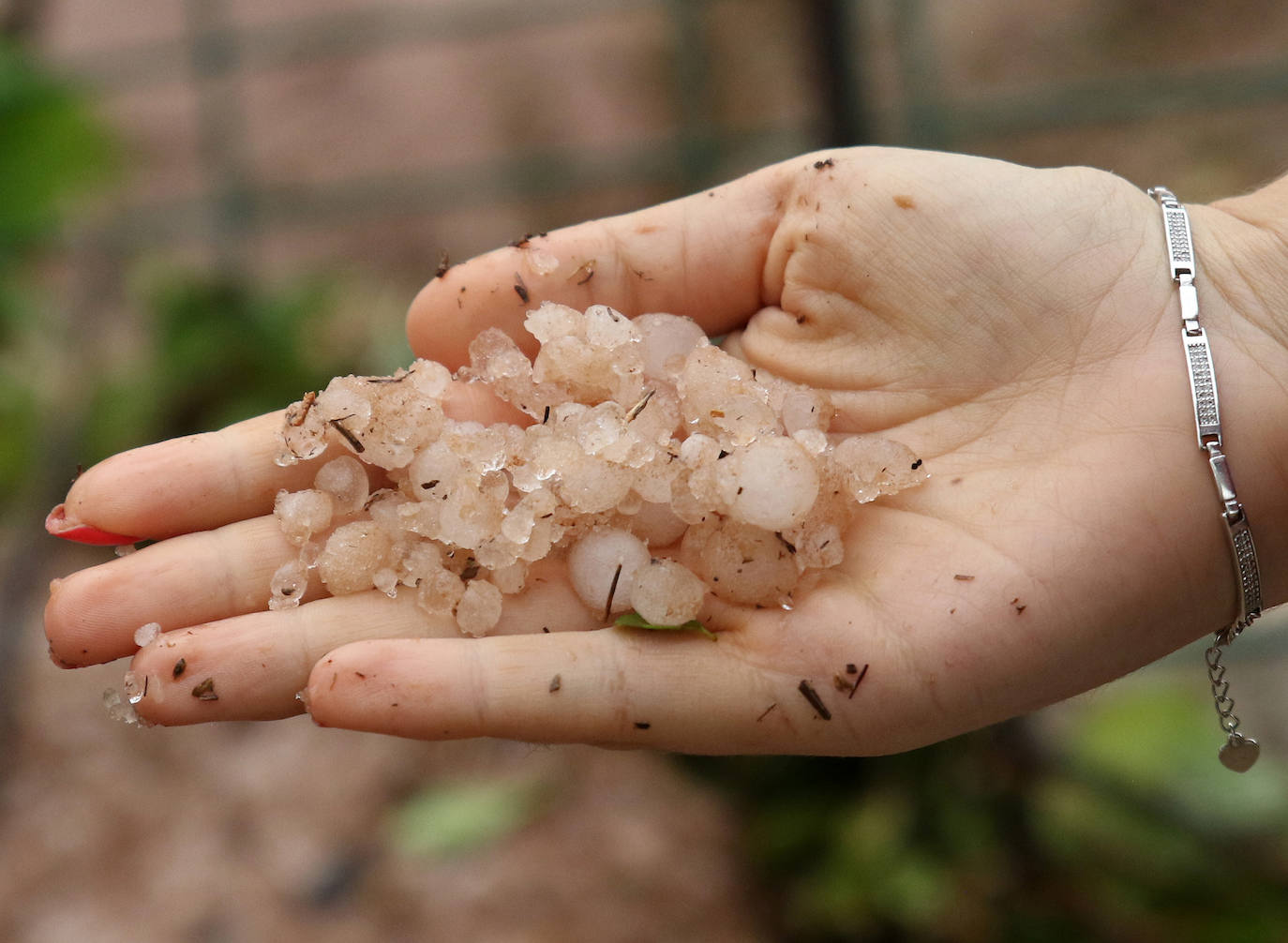 El rastro de la tormenta de granizo en Ayllón