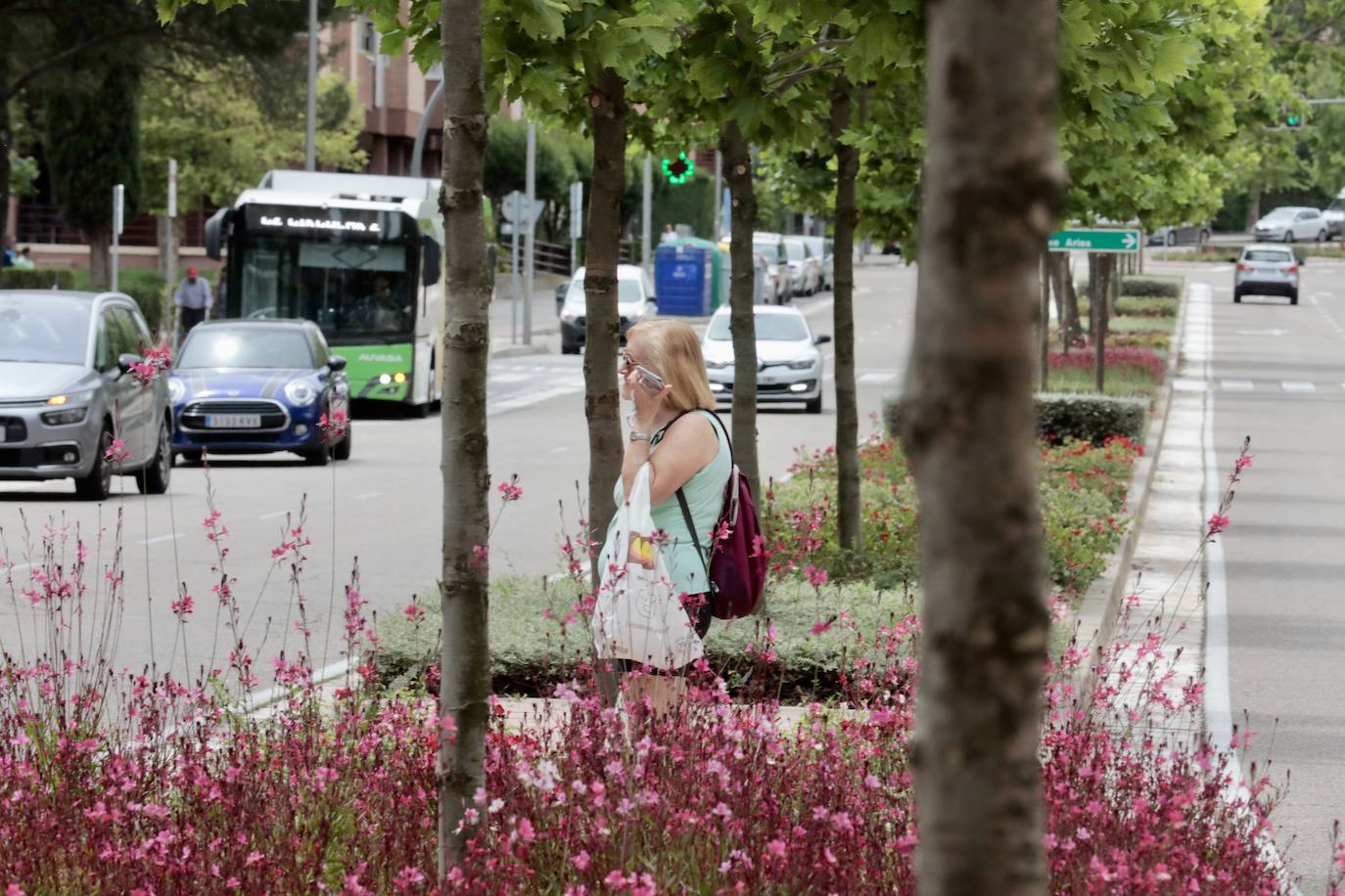 Un paseo en imágenes por la calle Adolfo Miaja de la Muela