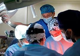 Hito médico: una placenta artificial logra que el feto sobreviva doce días