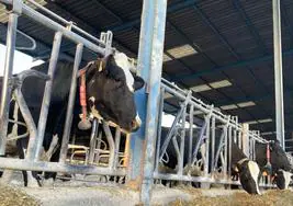 UPA acusa a las industrias de crear un «cártel lácteo»