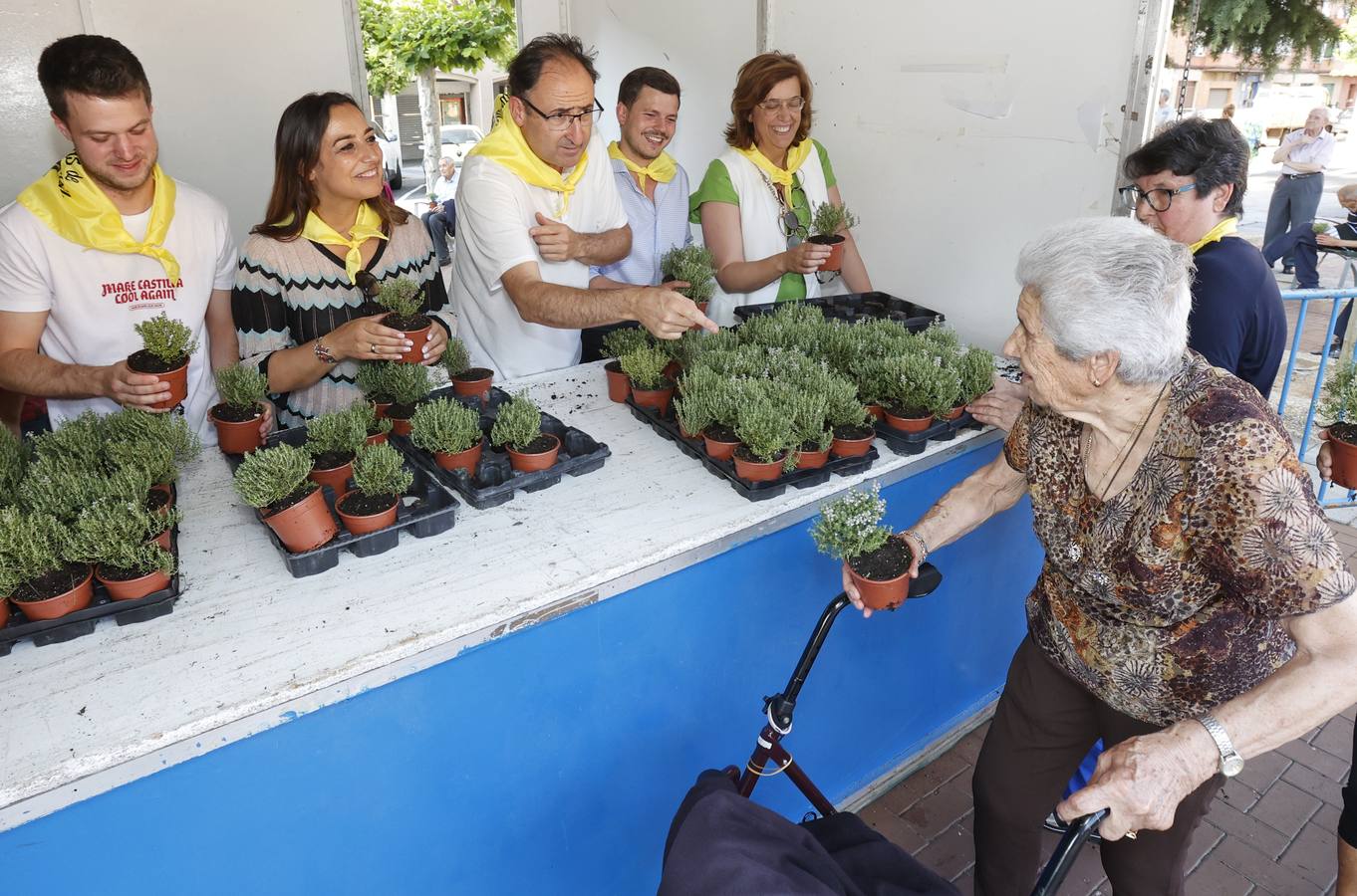 San Juanillo se impregna de tomillo