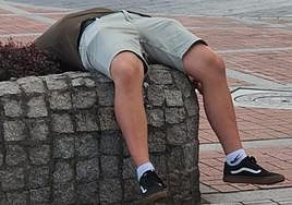 El hombre dormido sobre una jardinera instantes antes de que le despertaron los agentes.