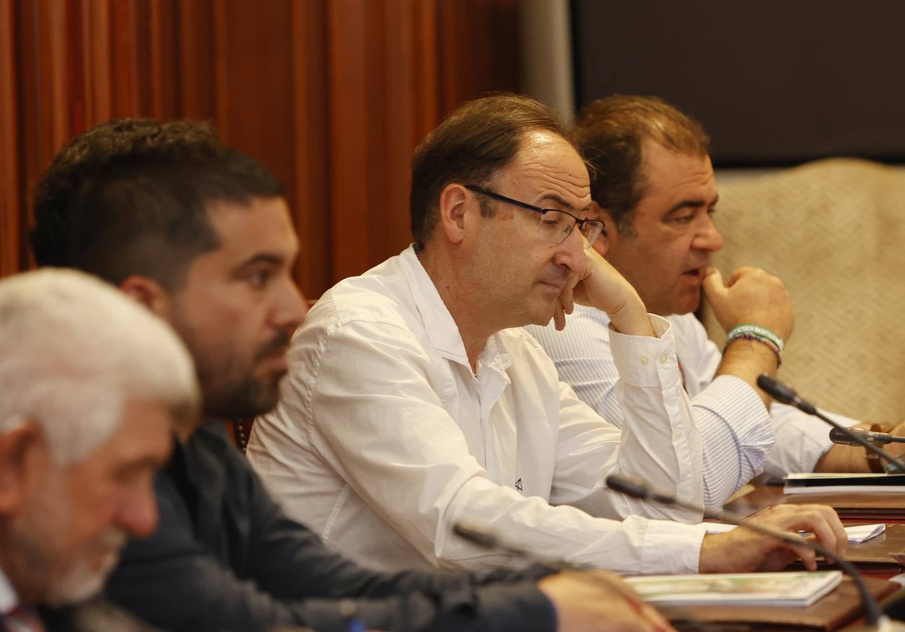 La Diputación de Palencia cierra el mandato con nueve despedidas