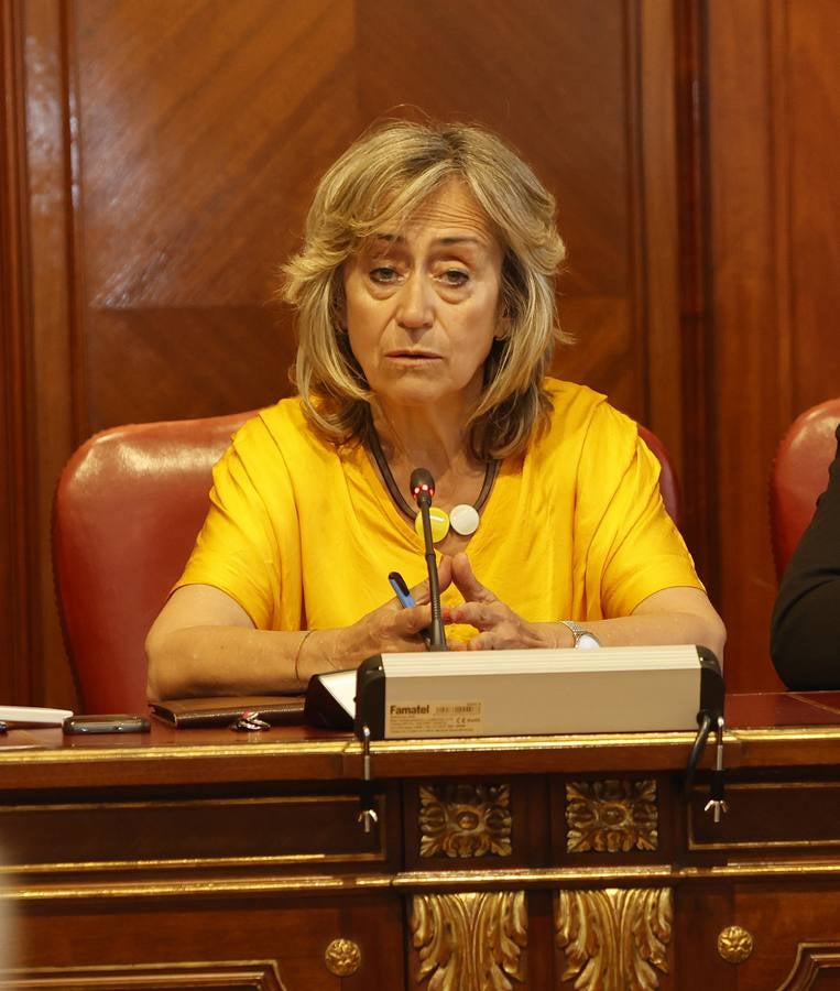 La Diputación de Palencia cierra el mandato con nueve despedidas