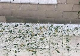 Dos pueblos de Salamanca sufren una fuerte tormenta de granizo