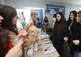 Feria de los estudios de FP, el pasado mes de marzo en el instituto Trinidad Arroyo.