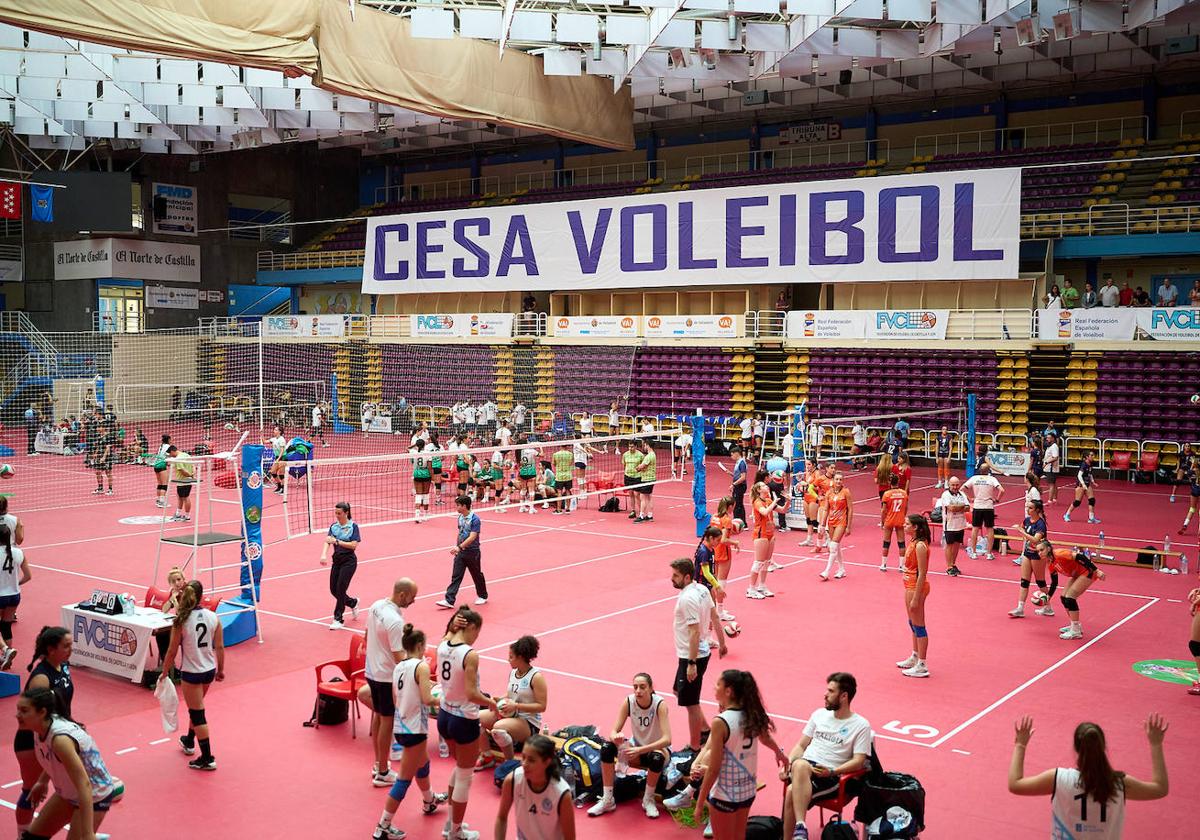 Los equipos se preparan para disputar un partido durante la edición anterior.