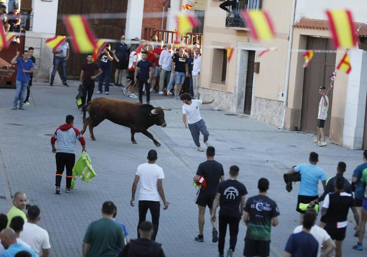 Encierro por las calles de Traspinedo