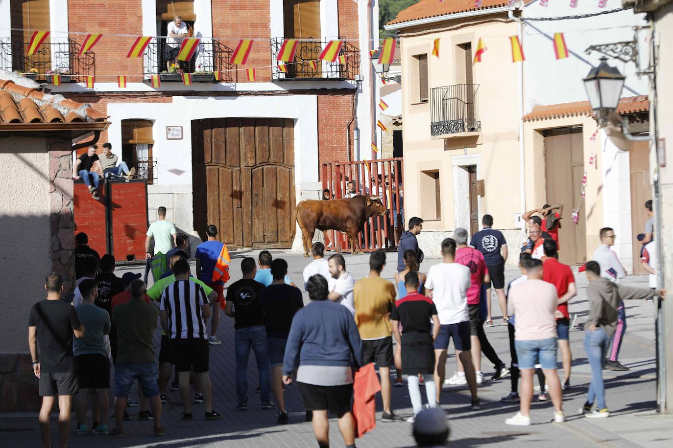 Encierro del sábado por la mañana en Traspinedo