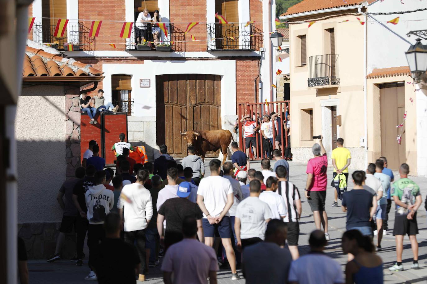 Encierro del sábado por la mañana en Traspinedo