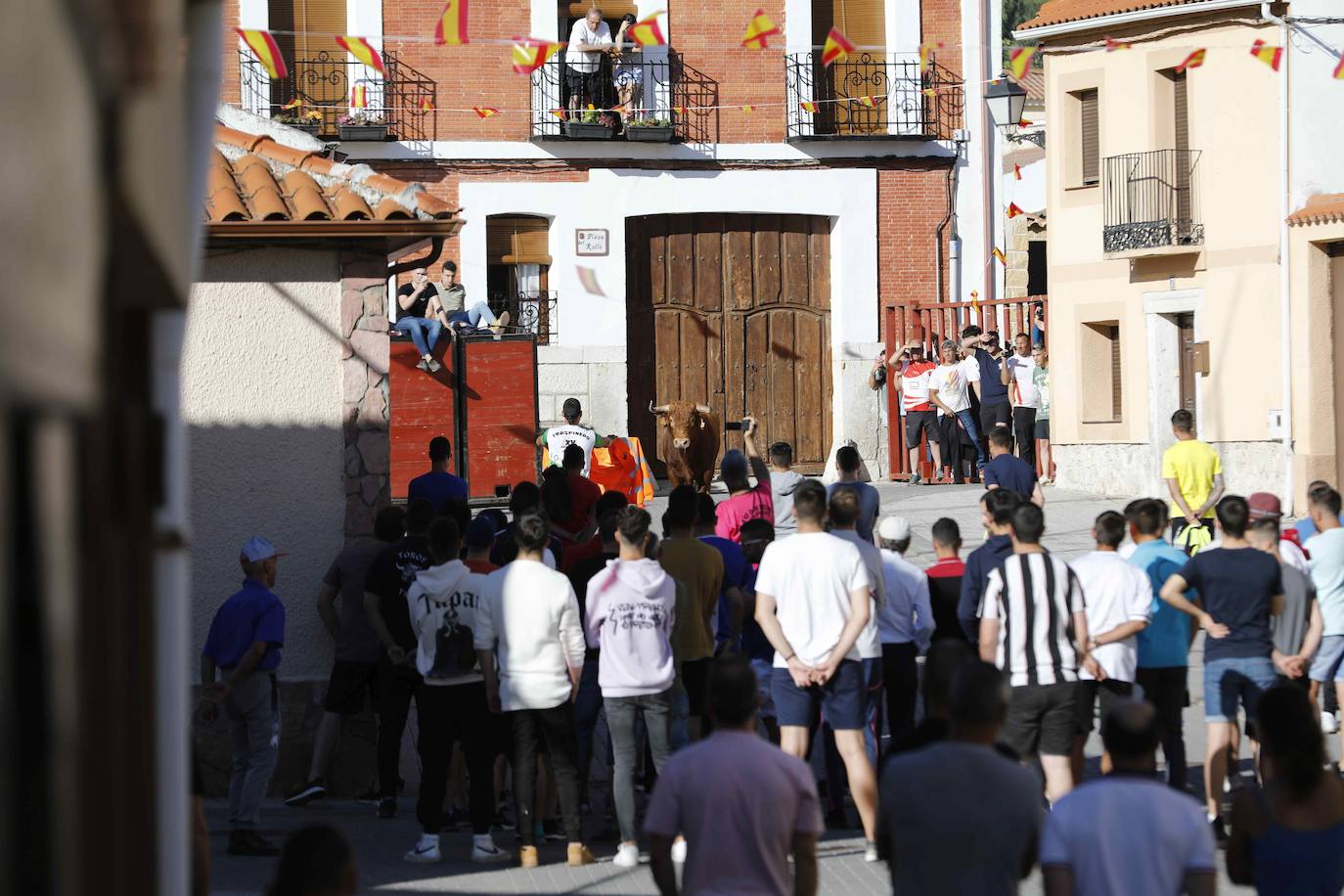 Encierro del sábado por la mañana en Traspinedo