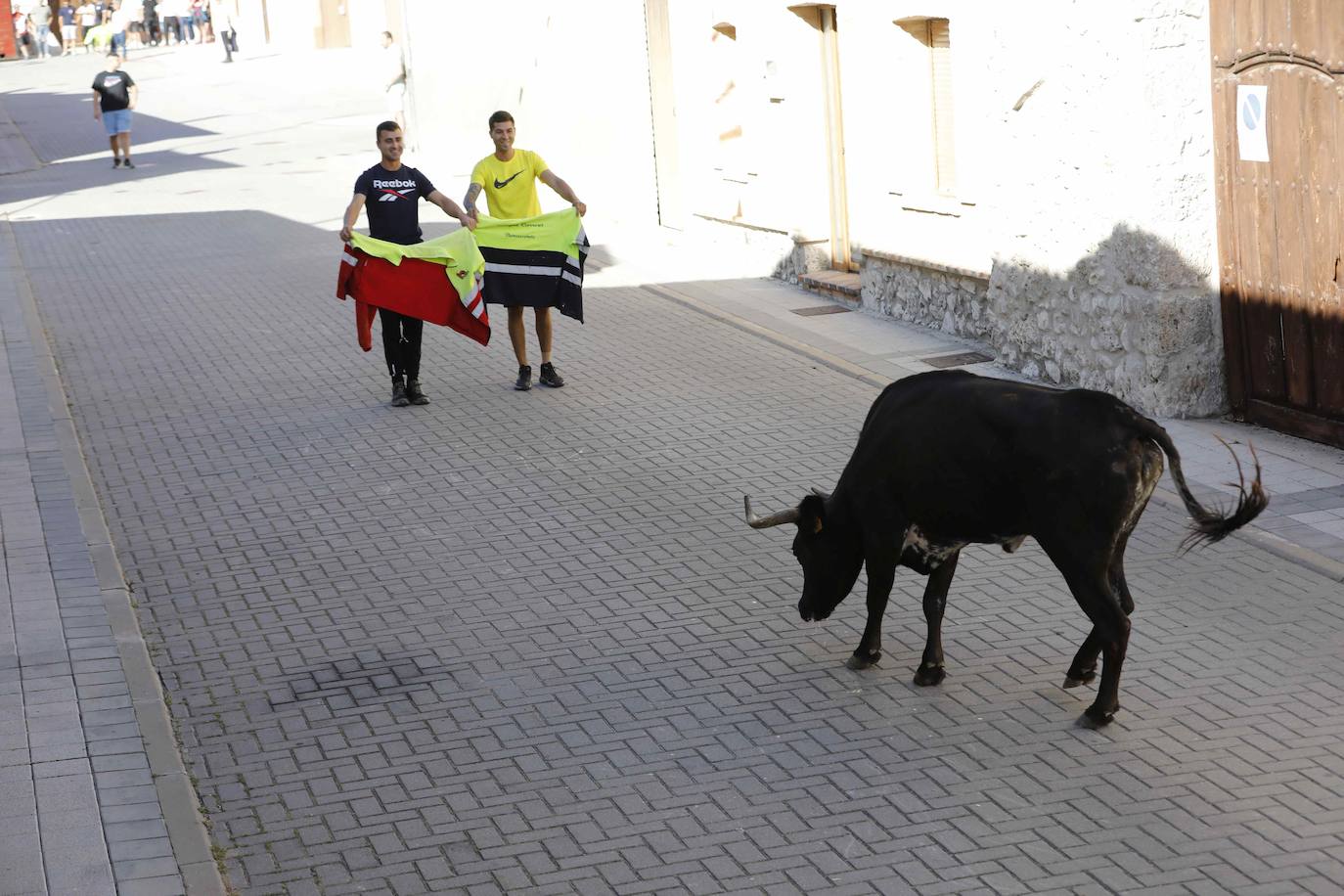 Encierro del sábado por la mañana en Traspinedo