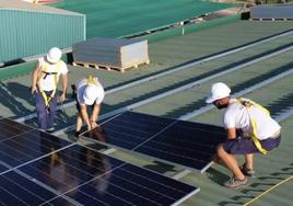 Unos instaladores de placas fotovoltaicas, en el techo de una nave industrial.