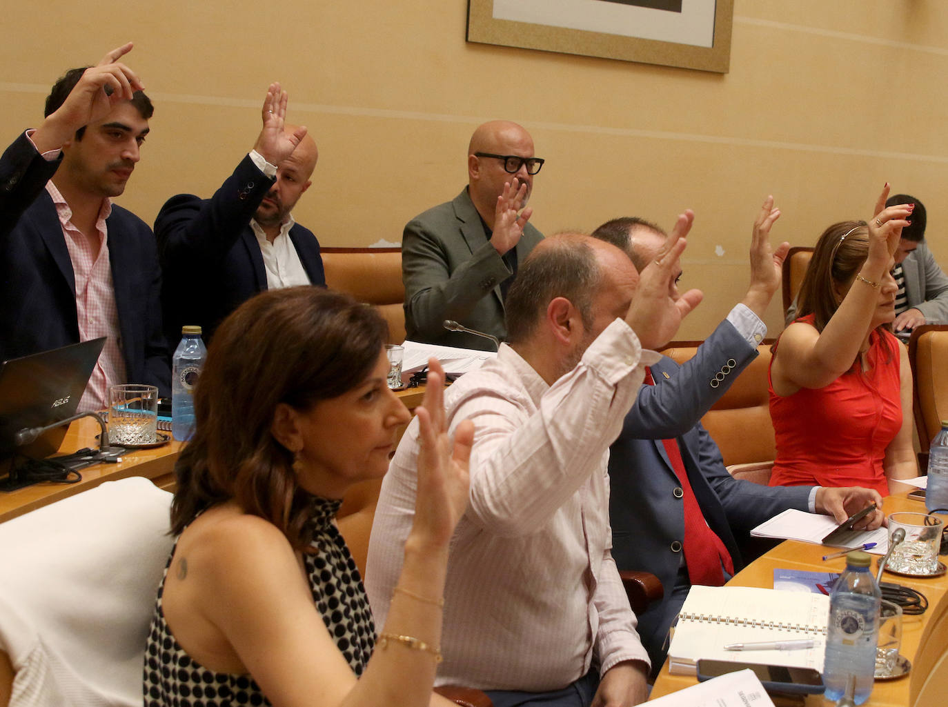 Pleno del Ayuntamiento de Segovia