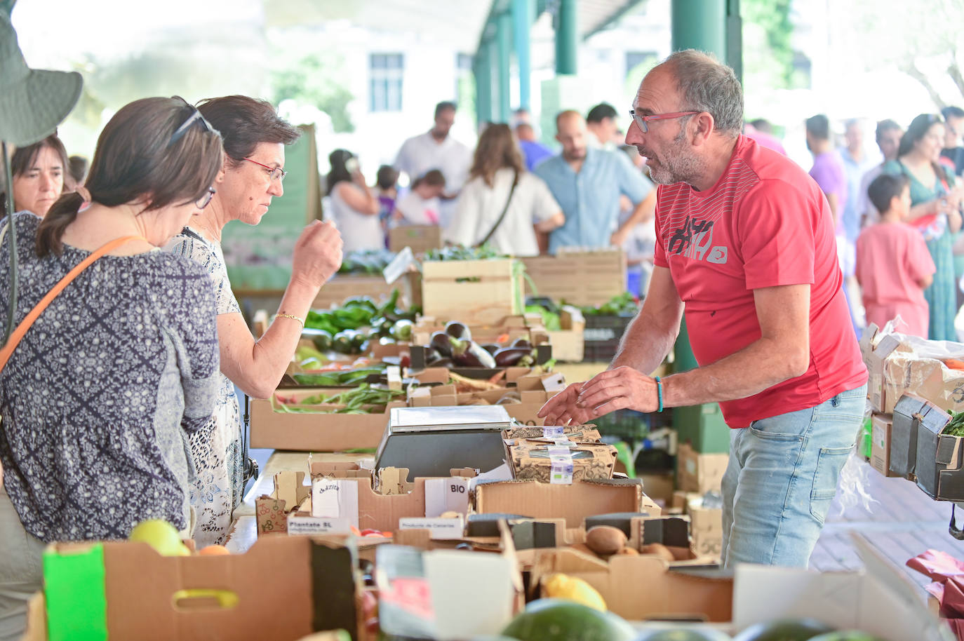 El mercado ecológico atrae numerosos visitantes en busca de consejo