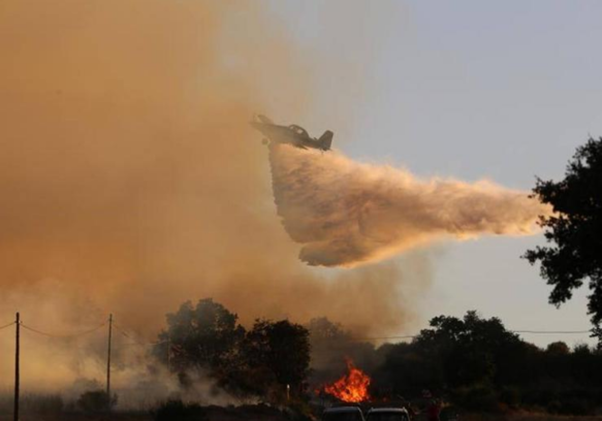 Incendio en Losacio de Alba, en la provincia de Zamora, el verano pasado.